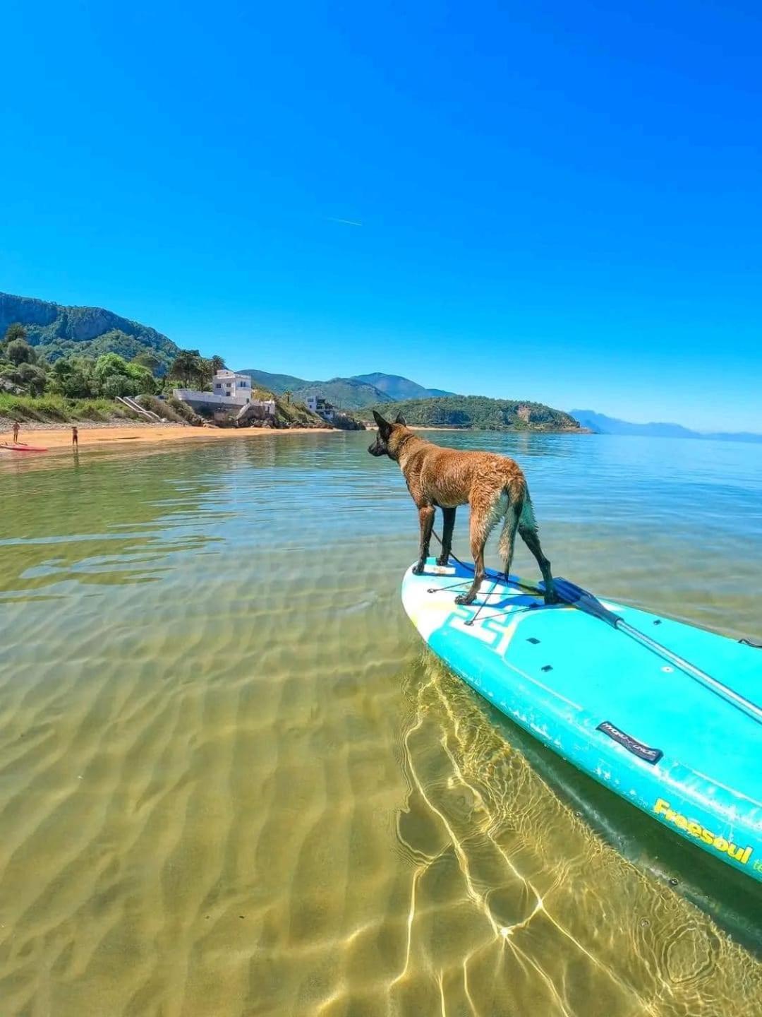 Hotel Plage D'Or Jijel Exterior foto